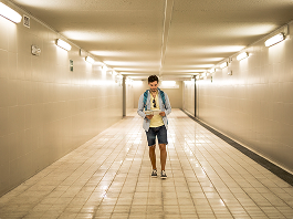 Covered Walkways and Pedestrian Subways