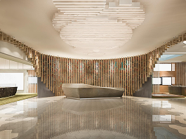 Hotel Lobbies & Ballrooms